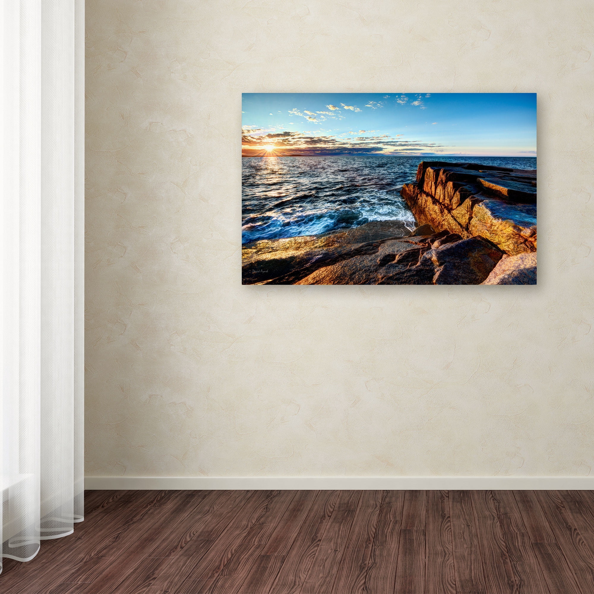 Trademark Fine Art "Sunrise Over the Atlantic in Maine" Canvas Art by David Ayash