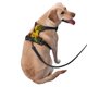 thumbnail image 2 of Balery Sunflowers in Bucket Arnés para Perros Grandes Antitirones, Arnés con Correa para Gato, Arnés Tipo Chaleco para Perros Pequeños-Large, 2 of 6