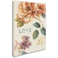 thumbnail image 3 of Trademark Fine Art "Spiced Nature VII" Canvas Art by Lisa Audit, 3 of 3