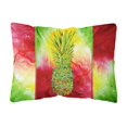 thumbnail image 1 of "Caroline's Treasures 8395PW1216 Almohada decorativa de tela de lona de piña, grande, multicolor" Caroline's Treasures 8395PW1216, 1 of 1