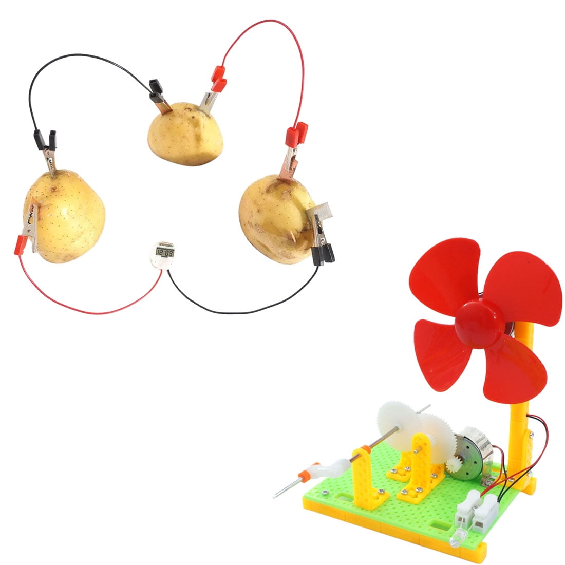 Education Subject Skelang Fruit Battery Science Experiment Kit with Electronic Clock for DIY Home Teaching Toy School Science Project