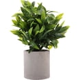 thumbnail image 1 of unbranded Bonsai Artificial Para Escritorio Con Follaje Ideal Para En Casa Y Oficina, 1 of 8