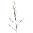 thumbnail image 1 of Flores De Melocotón De Seda Artificial Flores De Melocotón Falsas Para Interiores Y Exteriores Para Bodas Decoración De Restaurante - blanco, tal se describe Sunnimix Flores artificiales de durazno, 1 of 8