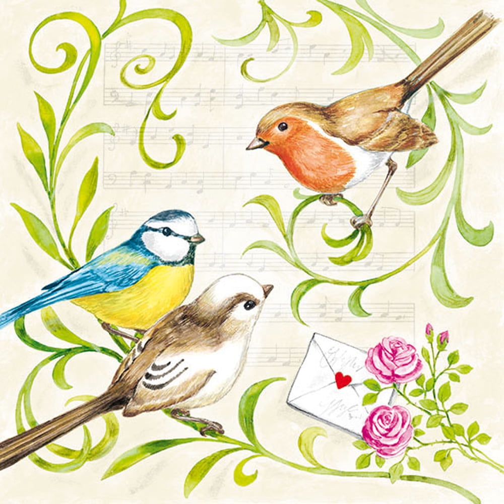 Ambiente Singing Birds Cocktail Napkins, 20 Ct by Supplier Generic
