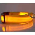 thumbnail image 2 of Collar Led Recargable Usb Perros Y Gatos Paseo Nocturno, 2 of 7
