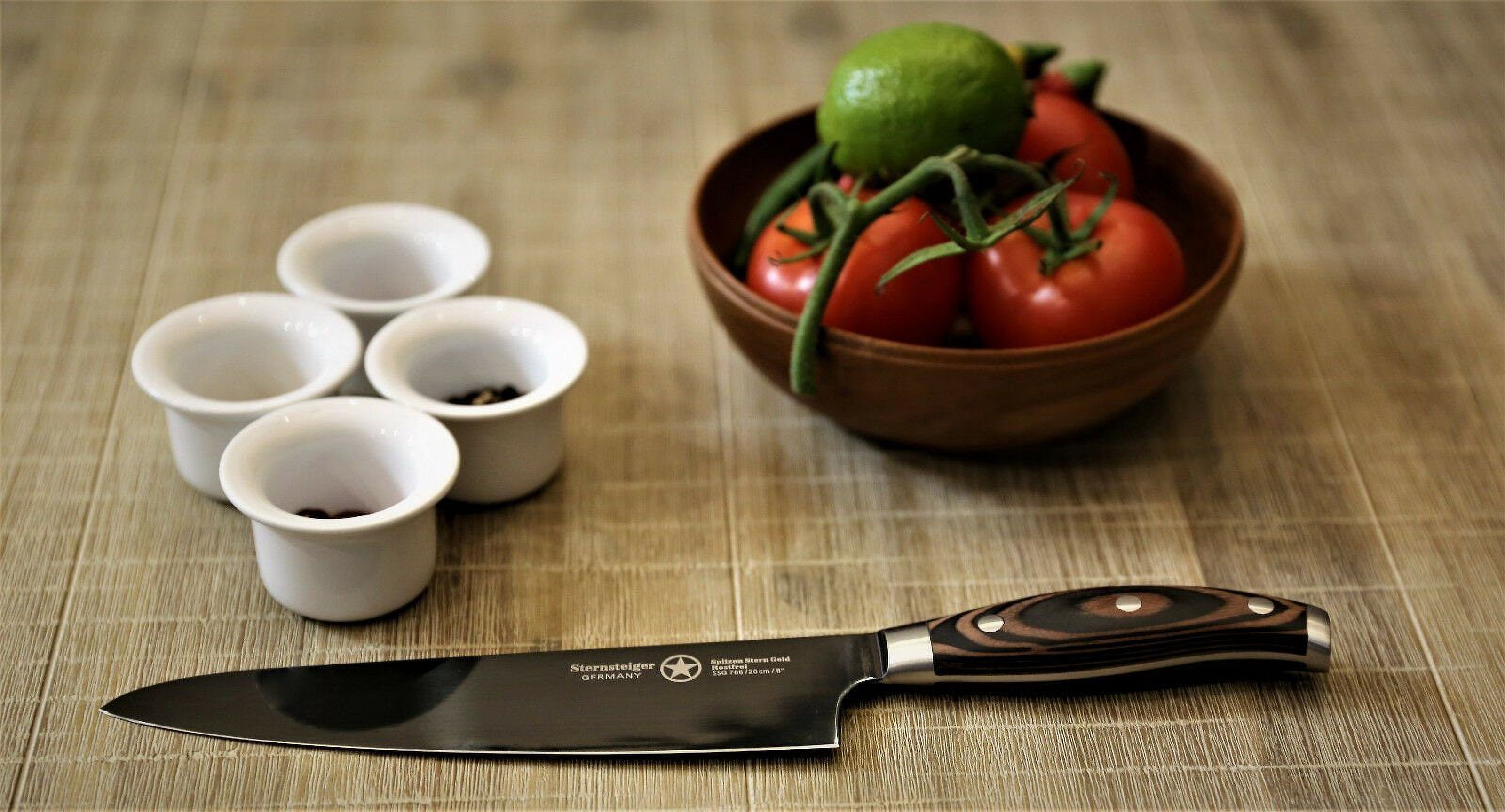Chef's knives set of 4 | Sternsteiger - Titanium Collection