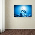 thumbnail image 3 of Trademark Fine Art 'Art Of Glass' Canvas Art by Leon Sitanggang, 3 of 3