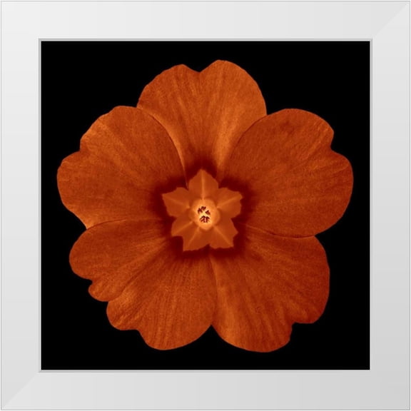 Greene, Taylor 12x12 White Modern Wood Framed Museum Art Print Titled - Sepia Floral C