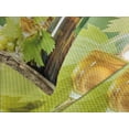 thumbnail image 4 of Ambesonne Wine Quilted Bedspread Set 3 Pcs, Young Vine Green Spring, King Size, Pale Green Yellow Brown, 4 of 5