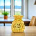 thumbnail image 6 of GETAJGHSD Lucky Bag Piggy Bank Golden Money Bag Model Resin Saving Decorating Home 1Pcs, 6 of 8