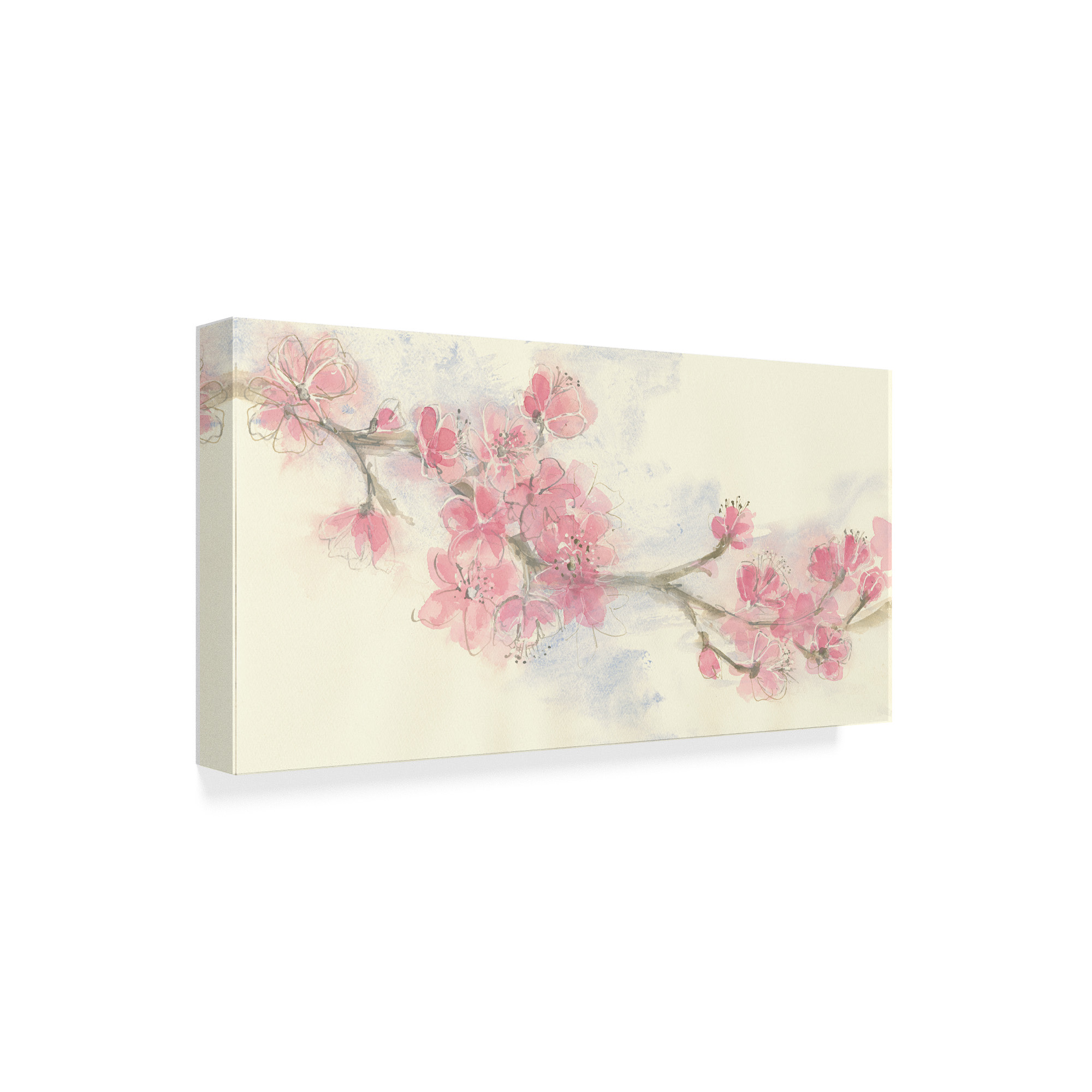 Chris Paschke 'Cherry Blossom Ii' Canvas Art