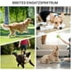 thumbnail image 3 of Squeaky dog toy balls, squeaky balls for dogs, dog chew toys for small puppies, 3 of 5