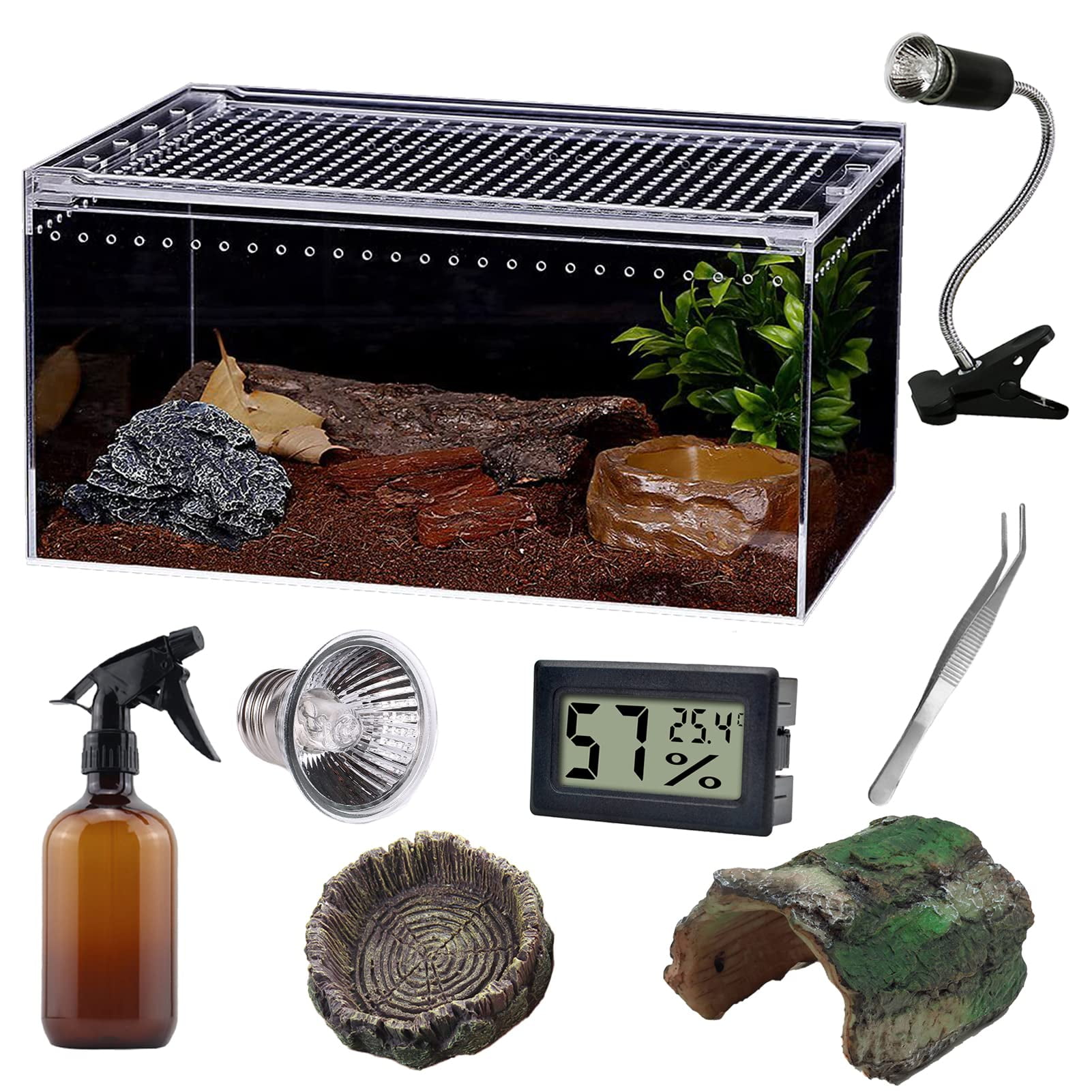 Lizard terrarium kit best sale