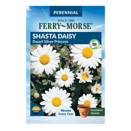 Ferry-Morse Shasta Daisy Flower Plant Seeds (1 Pack) - Seed Gardening, Full Sunlight