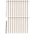 thumbnail image 3 of 15/20/25Pcs 4Inch Copper Nails for Killing Trees Stump Root Tree Killer Nails Stump Roots Removal Long Nail Spikes Hardware Tree 20Pcs, 3 of 9