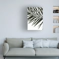 thumbnail image 4 of Trademark Fine Art Shot by Clint Phoenix Frond Canvas Wall Art, 4 of 4