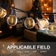 thumbnail image 4 of BRTLX G40 LED Lichterkette Außen 18.3FT mit 12er Glühbirne Warmweiß Wasserdicht Globus Schnur Deko Lichterkette (2 Ersatzlampen) für Garten Hochzeit Party Weihnachten Zhivalor LN-0939, 4 of 8