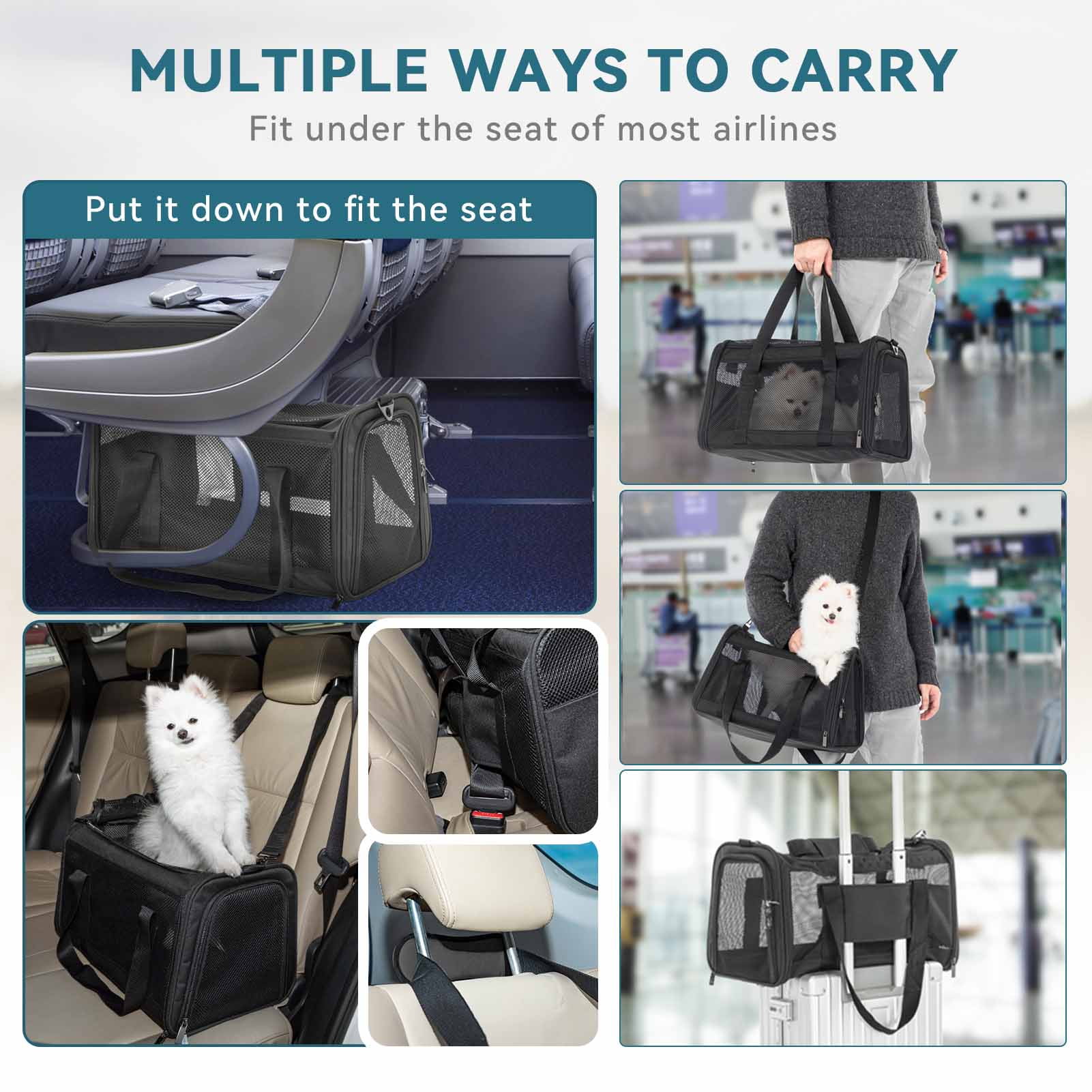 Pet carriers that fit under airplane seat hotsell