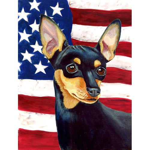 Caroline's Treasures American 2-Sided Polyester 15 x 11 in. Garden Flag
