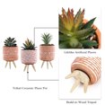 thumbnail image 3 of Teresa's Collections 6" Artificial Succulents Plants in Orange Ceramic Pot, Boho Home Decor Accents, Set of 3 Potted Plants, Assorted Faux Succulents Fake Plant for Table Centerpiece, Office Decor, 3 of 9