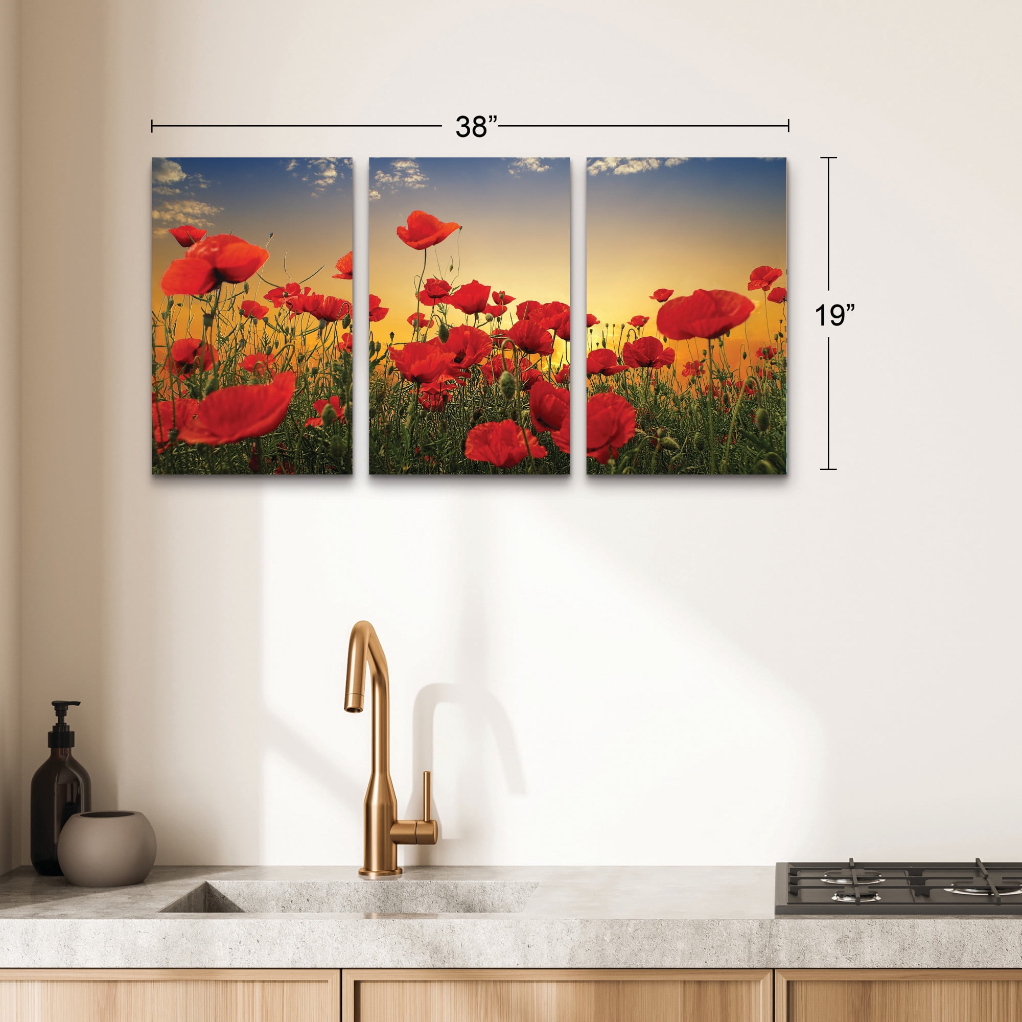 Albena Markova ‘Poppies’ 3 Panel Wall Art Set
