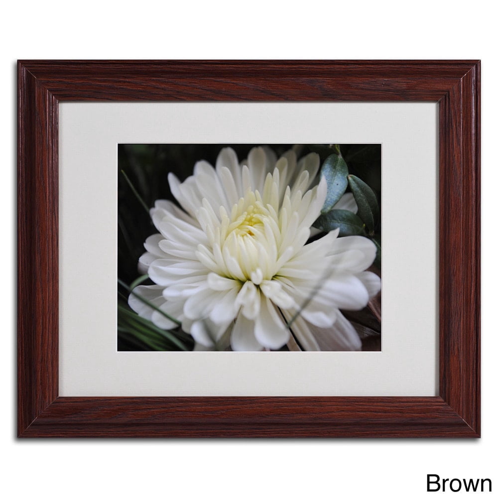 Trademark Fine Art "Vintage Culture" by Monica Fleet, Black Frame