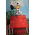 thumbnail image 1 of Exclusiva! Cobija Frazada Ultra Suave Snoopy House, 1 of 1