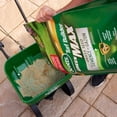 thumbnail image 4 of Scotts Turf Builder Green Max Grass Seed Mix, 4 of 5