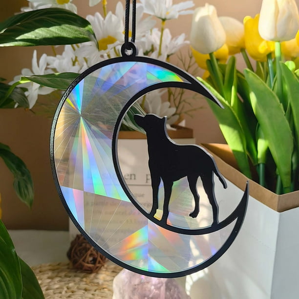Xihbxyly Colgante Conmemorativo para Mascotas, Acrílico Colorido para Ventana, Efecto Reflectante de Luz Solar, Decoración para El Hogar y El Jardín, Regalo para La Pérdida de Una Mascota, Incluye Cu