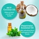 thumbnail image 2 of Enjuague bucal GuruNanda, aceite blanqueador, 240 ml, 2 unidades, sin alcohol, 2 of 8
