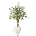 thumbnail image 2 of Nearly Natural 53" Olive Artificial Tree in White Planter, 2 of 4