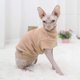 thumbnail image 4 of Chaleco tipo jersey de forro polar para perros y gatos, sudadera con capucha suave y cálida para invierno, ideal para perros pequeños y medianos, caniches, chihuahuas, bulldogs, esfinges y gatos (marr, 4 of 5
