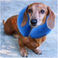 thumbnail image 1 of Protective Inflatable Collar for Dogs Pet Recovery Collar Cone for Cat After Surgery (Size : S:22X23CM), 1 of 6