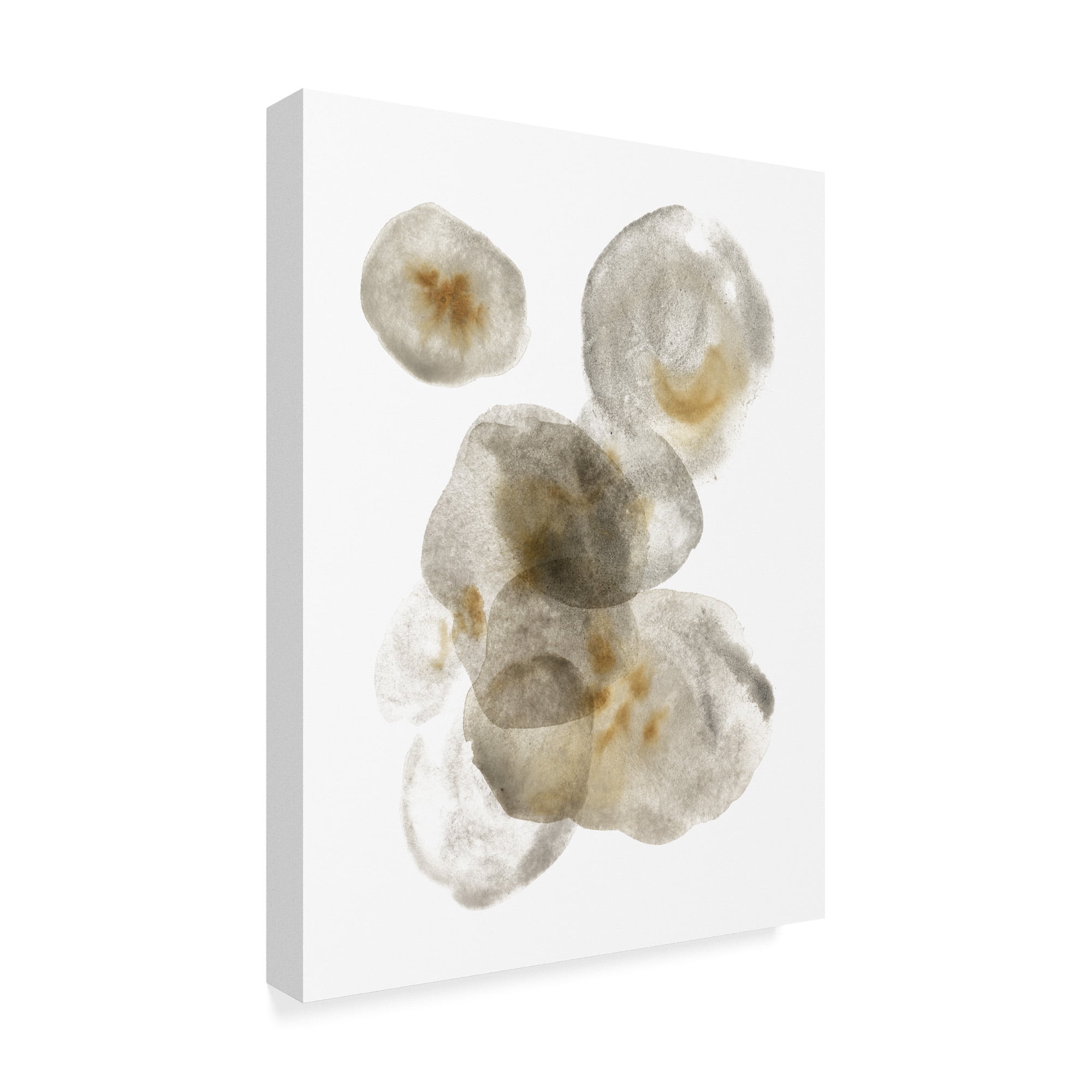 Trademark Fine Art 'Nostalgic II' Canvas Art by Melissa Wang