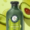 Herbal Essences Avocado Oil Conditioner, Repair, 13.5 fl oz