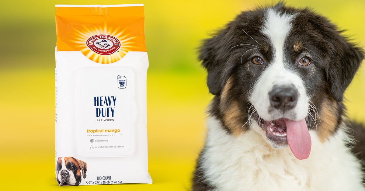Arm & Hammer Heavy Duty Multi-Purpose Dog Wipes with Tropical Mango Scent, 100 Count
