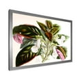 thumbnail image 2 of Designart 'Blossoming Vintage Flower V' Traditional Framed Art Print, 2 of 4