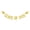 Gold 1Pcs, variant on HOARBOEG 3Pcs Class of 2026 Graduation Banner, Paper Graduation Bunting, Graduation Party Decorations, 2026 Grad Decor with String for Hanging