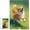 500 PCS, variant on 1000 pcs Jigsaw Puzzle - Corgi, Dog Themed Puzzle for Adults, 30" x 20"