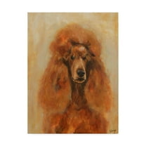Trademark Fine Art 'Apricot Poodle' Canvas Art by Solveiga
