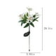 thumbnail image 3 of onlyliua para Interior/Exterior Luce Solar En Flores para Exteriores, Luces Decorativas En Jardín En Flores Solares, Luces Led En Paisajes, Luces En Estaca En Encendido y Apagado Automático, Brillo d, 3 of 6