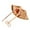 Rose Gold, variant on DOLITY Accessory Set Wick Wick Snuffer Gift