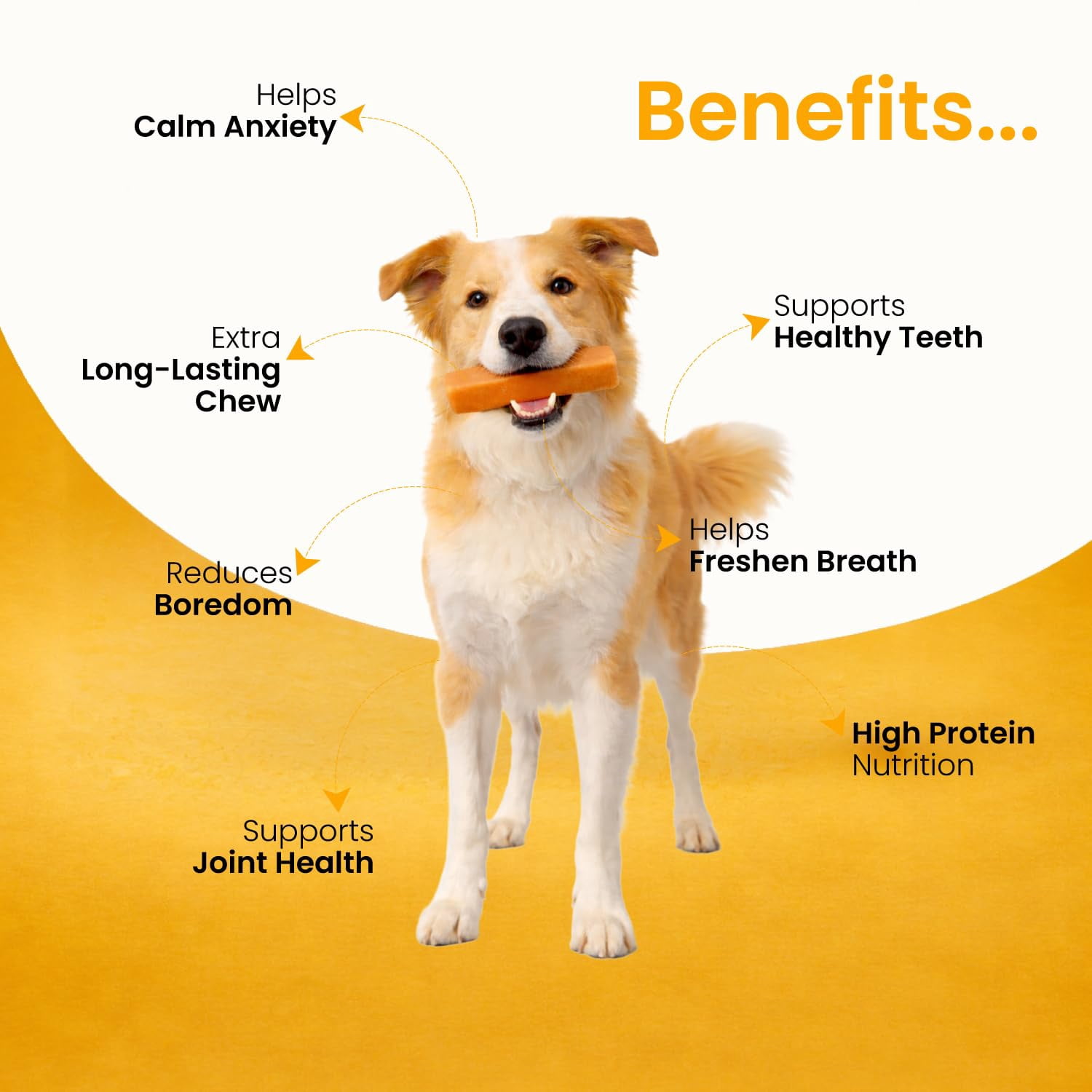 FPN Cheese Dog Chew Turmeric Himalayan Yak – Long Lasting Natural Dog Chews for Aggressive Chewers – High Protein Cow Milk Alternative Healthy Dental Dog Treat – Made in Belgium (Small)