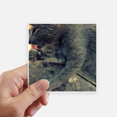 thumbnail image 1 of Animal Pattern Gray Cat Photograph Sticker Square Waterproof Stickers Wallpaper Car Decal, 1 of 1