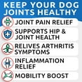 thumbnail image 2 of Liquid Glucosamine for Dogs - Hip & Joint Support with Chondroitin, MSM & Collagen - Easy-Serve Joint Pain Relief Supplement (16 fl oz), 2 of 8