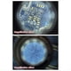 thumbnail image 5 of Microscopio de Mano con Lupa de 10 Aumentos para Joyeros, Lupa de Escritorio, Escala Portátil para Reparación de Telas., 5 of 5