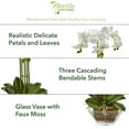 thumbnail image 2 of Nearly Natural White Triple Phalaenopsis Orchid Artificial Flowers in Glass Vase, 2 of 5