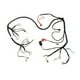 thumbnail image 1 of Arnés Principal Ws150 2008 De 2019 Italika Original, 1 of 3