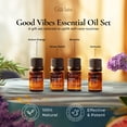 thumbnail image 4 of Gya Labs Good Vibes Essential Oil Set, Essential Oils for Diffusers, Self-Care, Skin, Candle Making & Gift Set - Peppermint, Rosemary, Rose Geranium, Lemongrass, Roman Chamomile - 8 x 0.17 fl oz, 4 of 8
