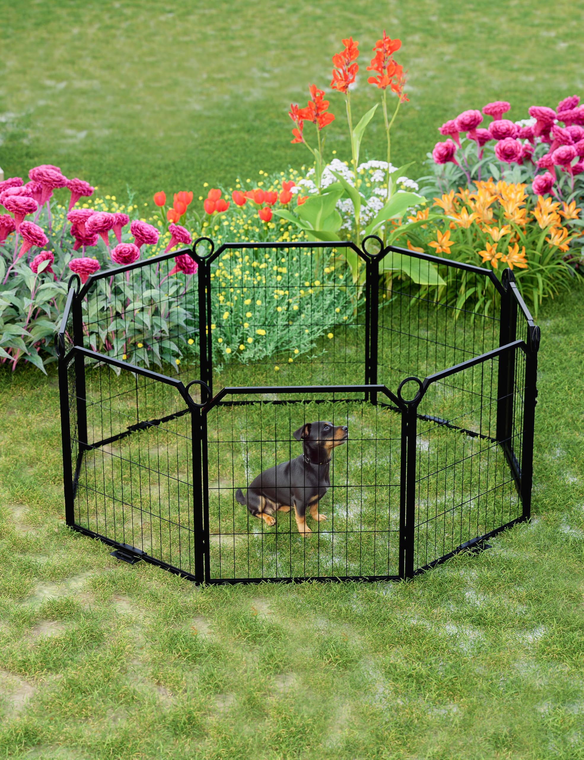 Riedhoff 16-Panel 24-Inch Anti-Rust Exercise Pen for Dogs & Cats with Gate, Black